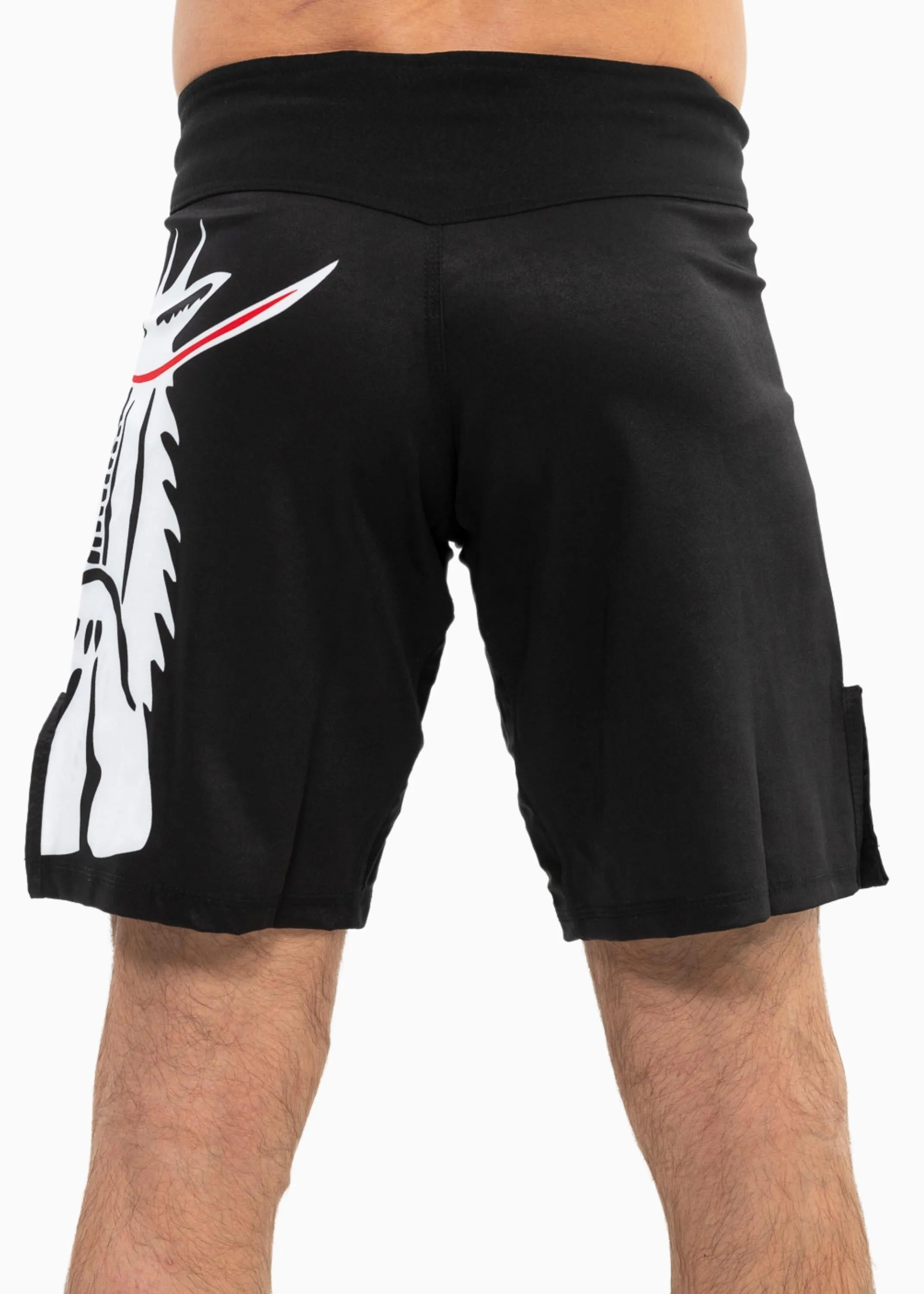Combat "Dragon" Shorts