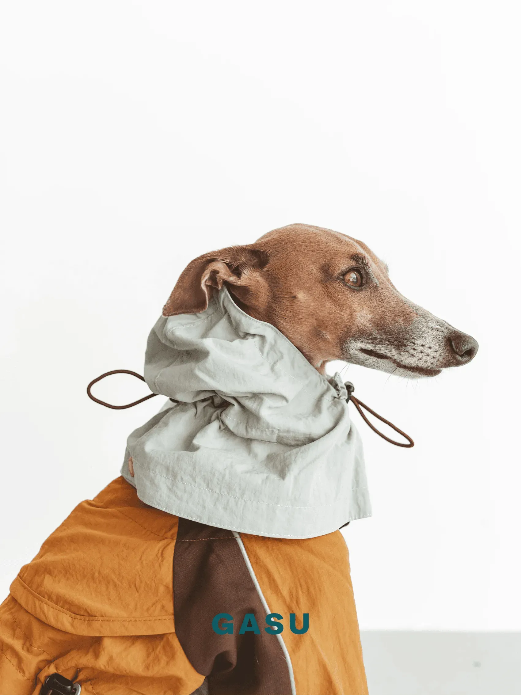 Detachable Snood | 4-Leg Dog Raincoat