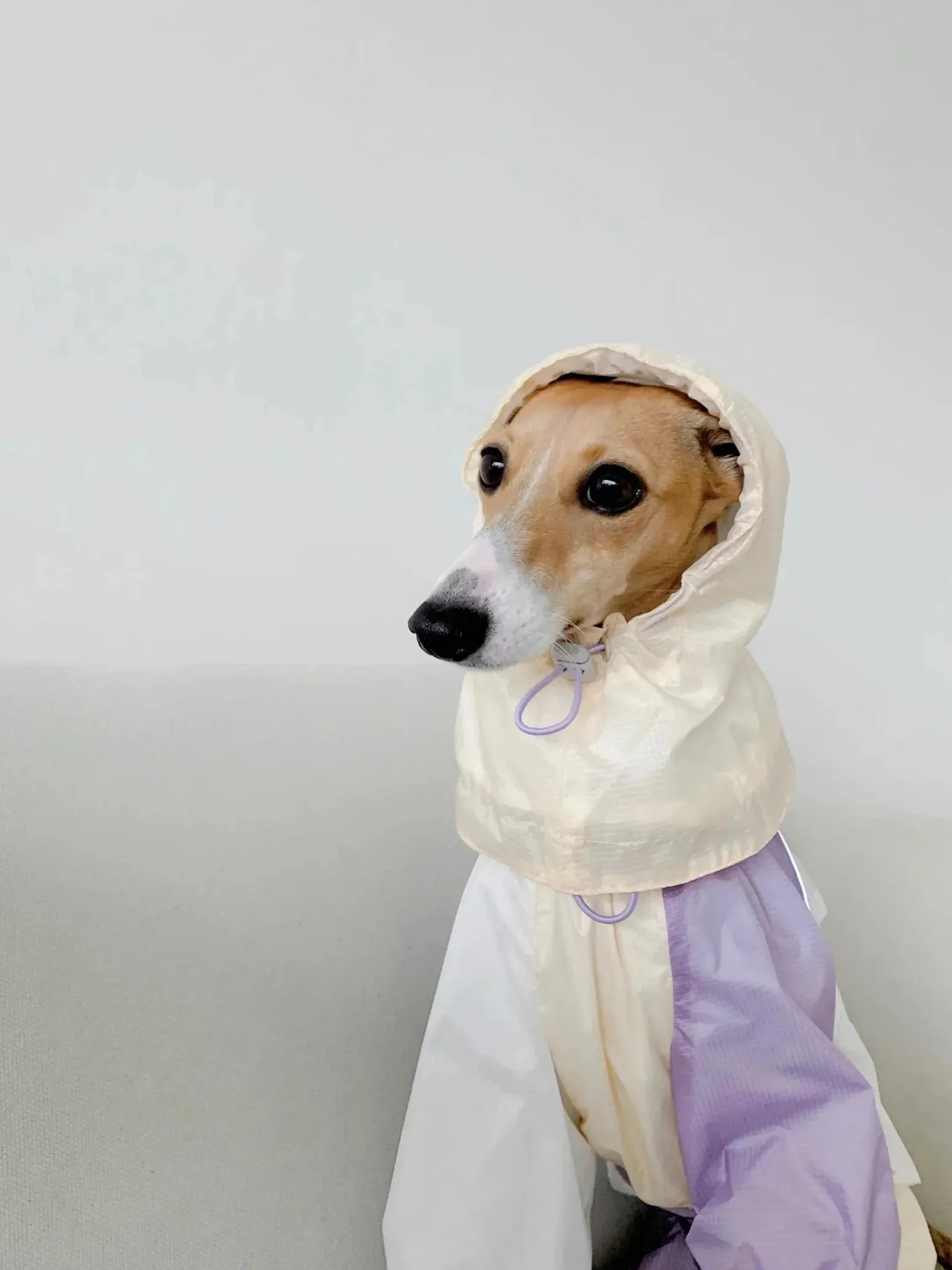 Detachable Snood | 4-Leg Dog Raincoat
