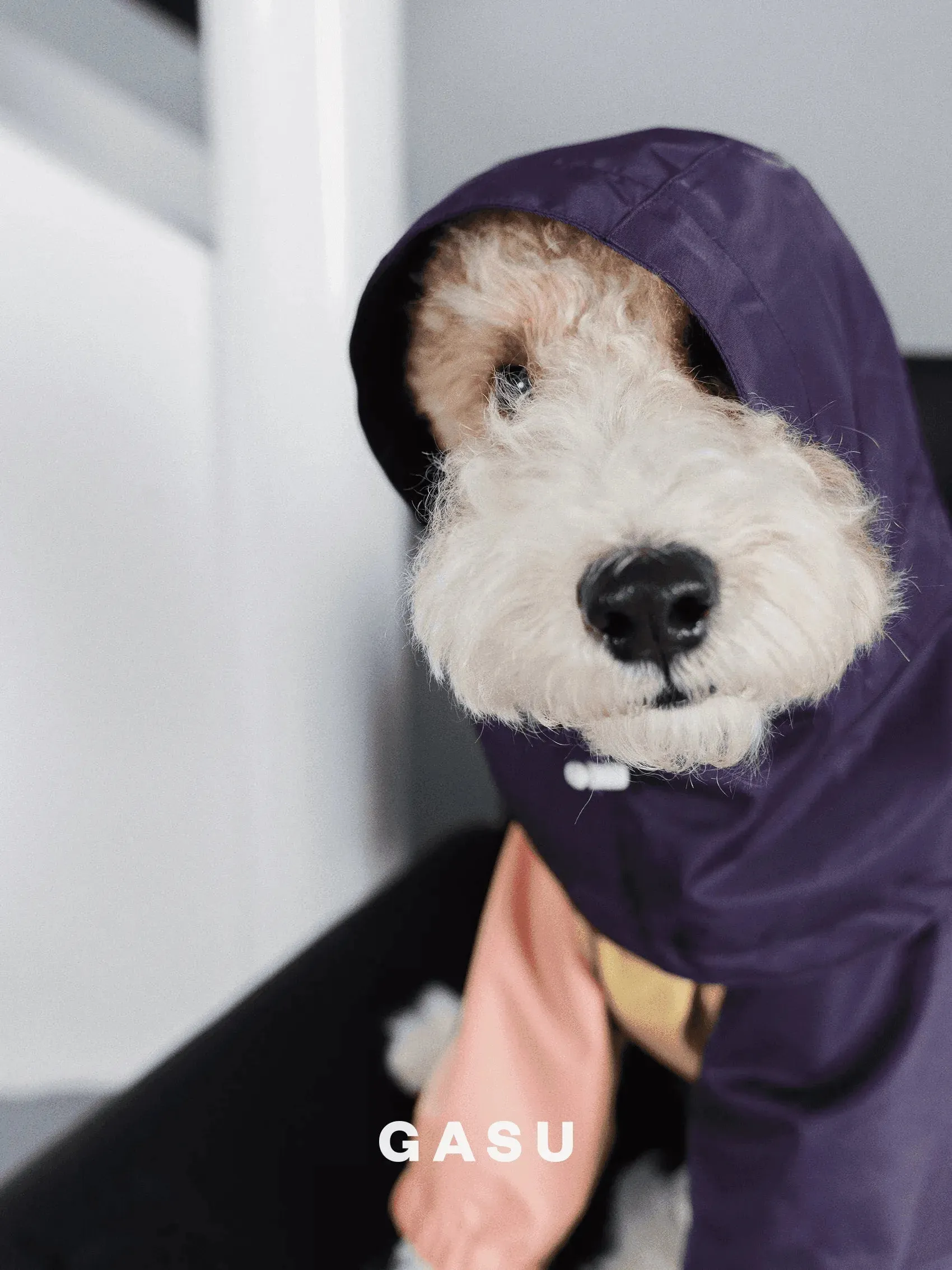 Detachable Snood | 4-Leg Dog Raincoat