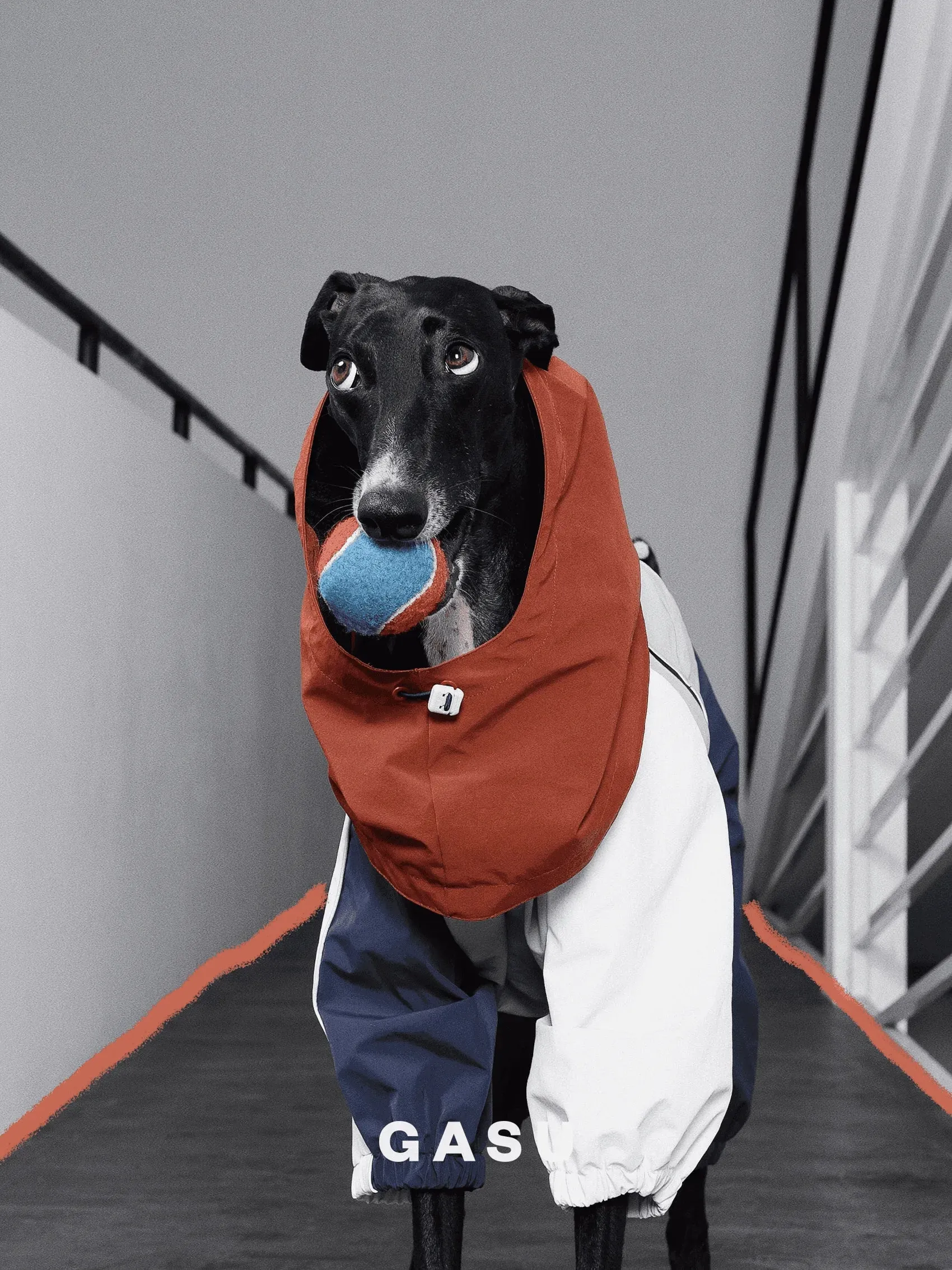 Detachable Snood | 4-Leg Dog Raincoat