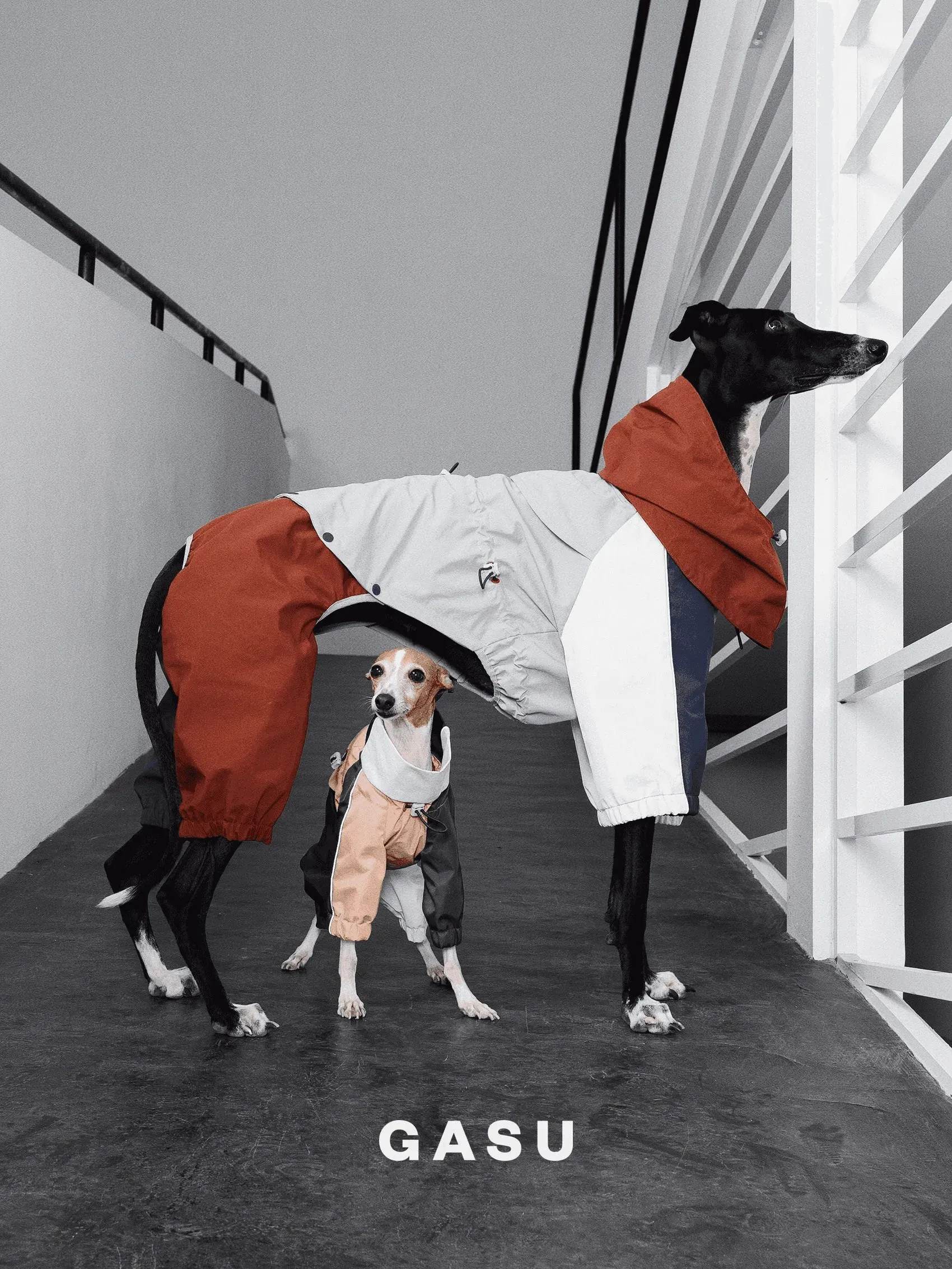 Detachable Snood | 4-Leg Dog Raincoat
