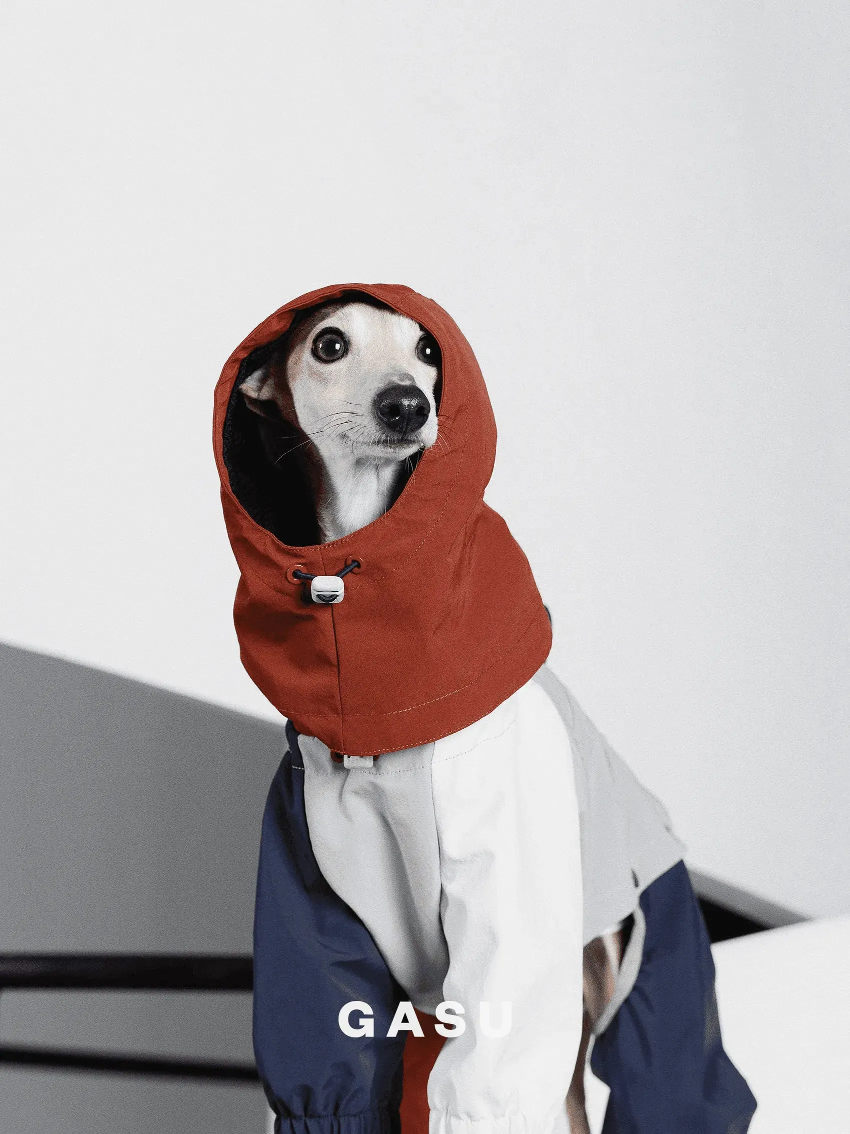 Detachable Snood | 4-Leg Dog Raincoat