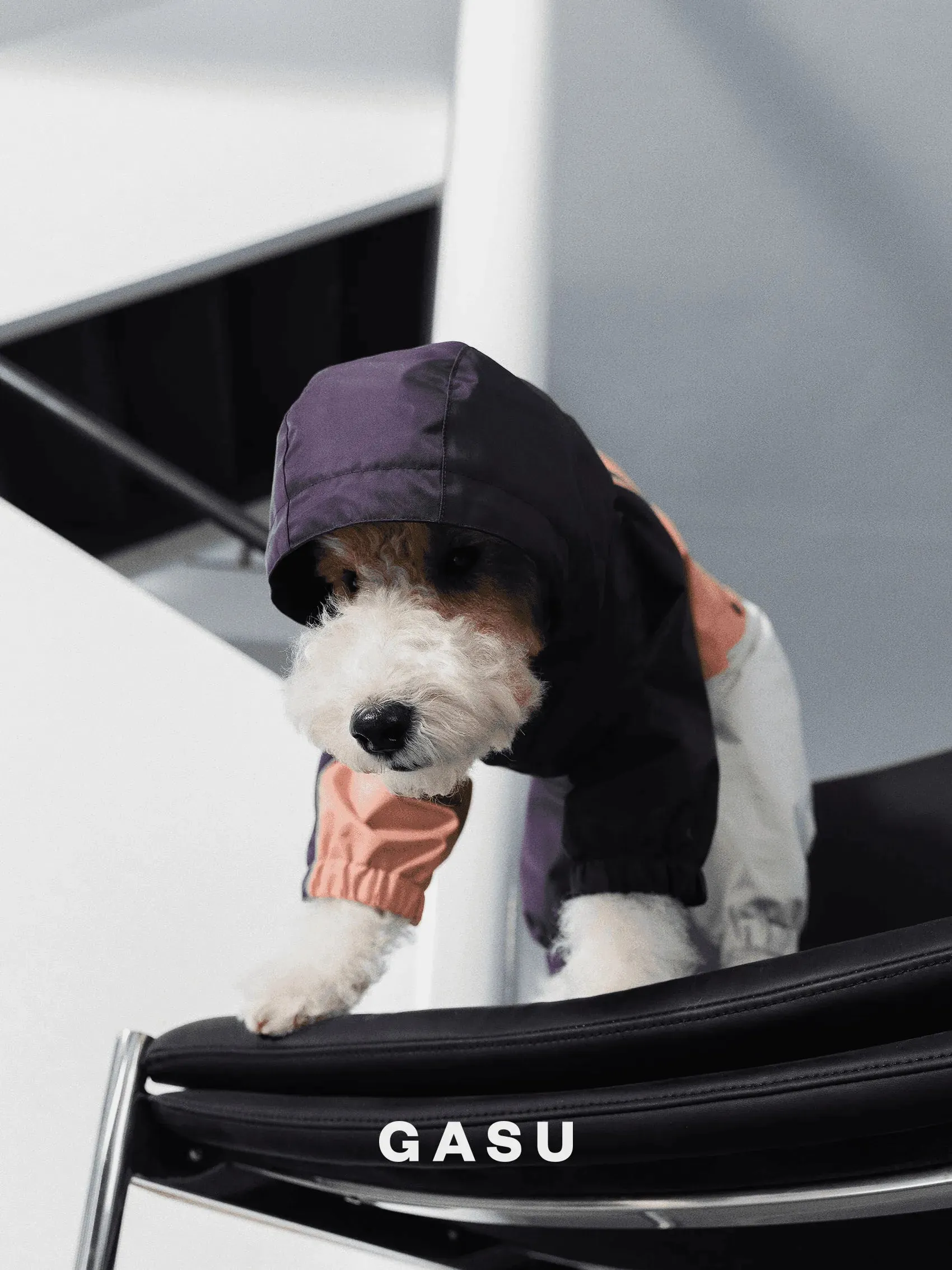 Detachable Snood | 4-Leg Dog Raincoat