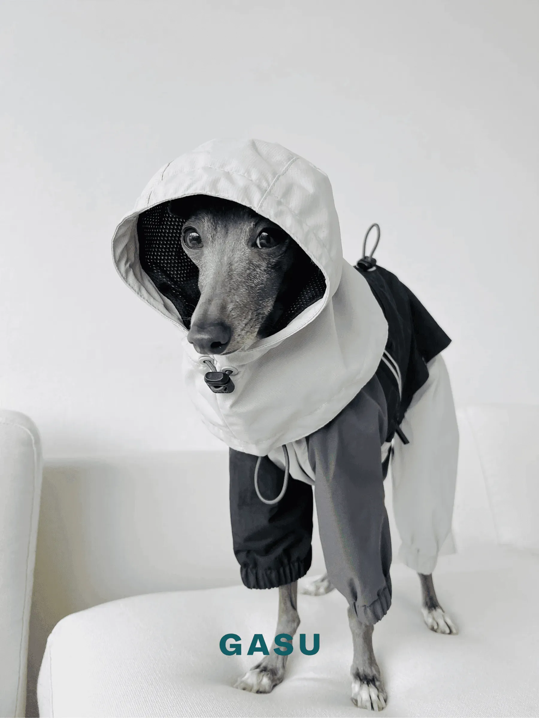 Detachable Snood | 4-Leg Dog Raincoat