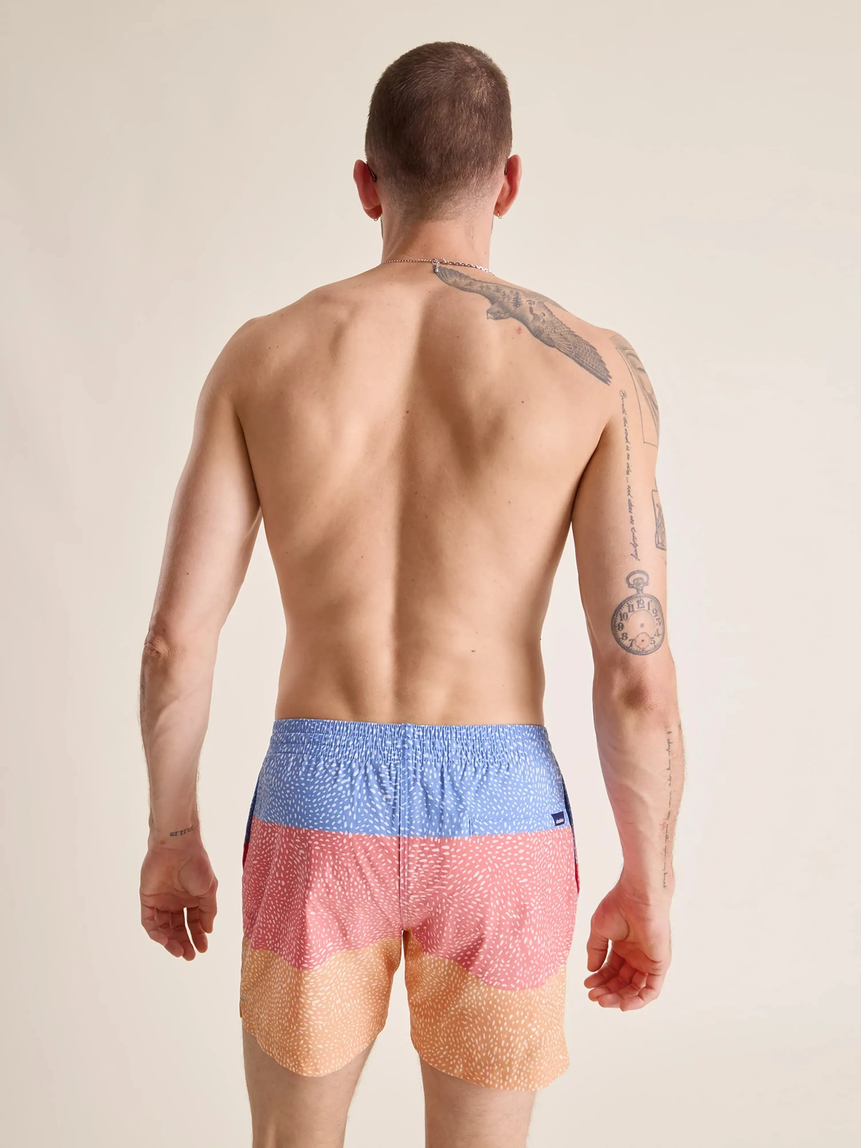 The Sunset Whale Sharks 5.5" (Classic Lined Swim Trunk)